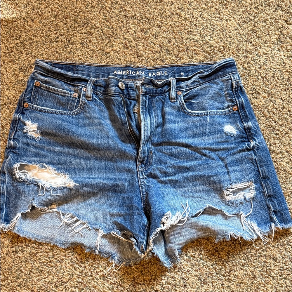 American Eagle Outfitters Ripped 90s Boyfriend Shorts